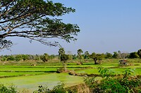 IMG_3658