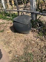 IMG_1255