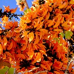 IMG_3677