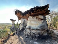 IMG_1394