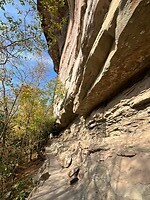 IMG_1396