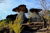 IMG_3696