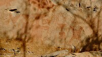 IMG_3700