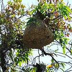 IMG_3710
