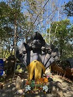 IMG_1406