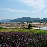 IMG_3705
