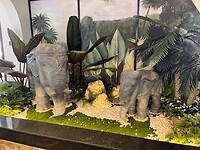 IMG_1447
