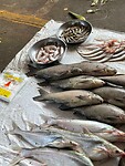 45b5a1b2-fa40-4629-8bd4-b65914fa667e