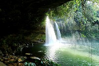 IMG_1542