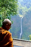 IMG_1537