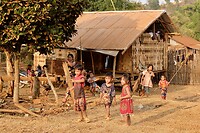IMG_1518