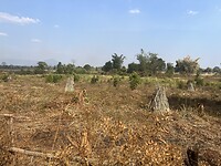 IMG_1490