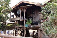 IMG_1528