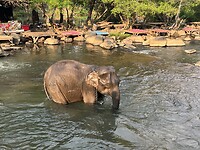 IMG_1504