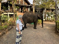 IMG_1512