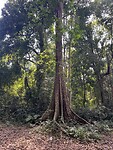 IMG_1550