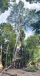 IMG_1554