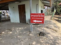 IMG_1581