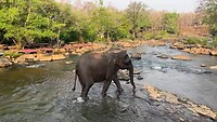 IMG_1505