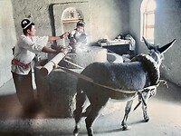 IMG_1810