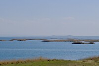 DSCF2782