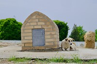 DSCF3038