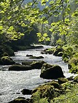 IMG_9802