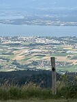 IMG_9909