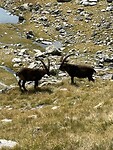 IMG_0472
