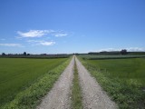 DSC03239