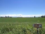 DSC03250