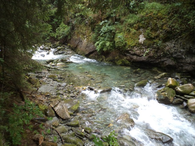 DSC02824