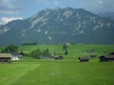 Uitzicht vanuit de trein
