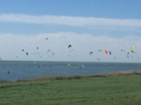 IMG_0143