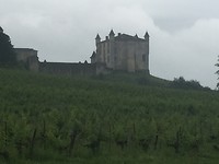 Wijnkasteel