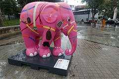 eerste olifant
