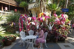 wat doi suthep (3)