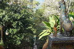 wat doi suthep (18)