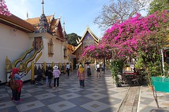 wat doi suthep (33)