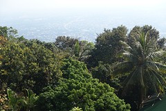 wat doi suthep (34)