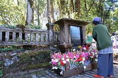 Doi Inthanon National Park (5)