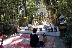 Doi Inthanon National Park (6)