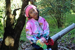 Doi Inthanon National Park (7)