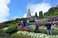 Doi Inthanon National Park (9)