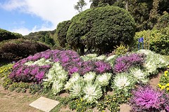 Doi Inthanon National Park (12)