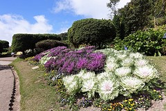 Doi Inthanon National Park (13)