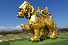 singha park (1)