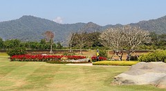singha park (3)
