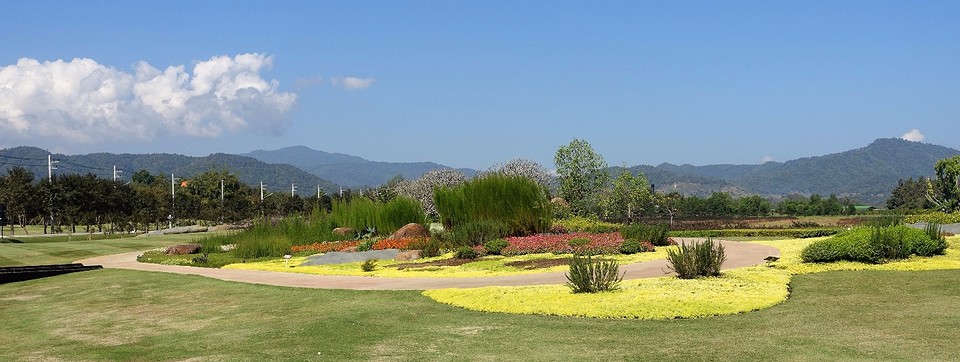 singha park (5)