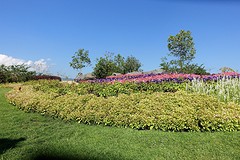 singha park (9)